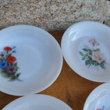 Set of 6 plates in arcopal 70