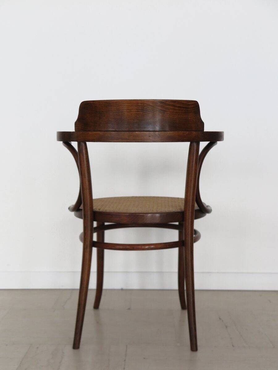 Vintage Chairs by Michael Thonet for Thonet, 1930s, Set of 6