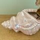 Vintage shell pot cover in pink pearly ceramic