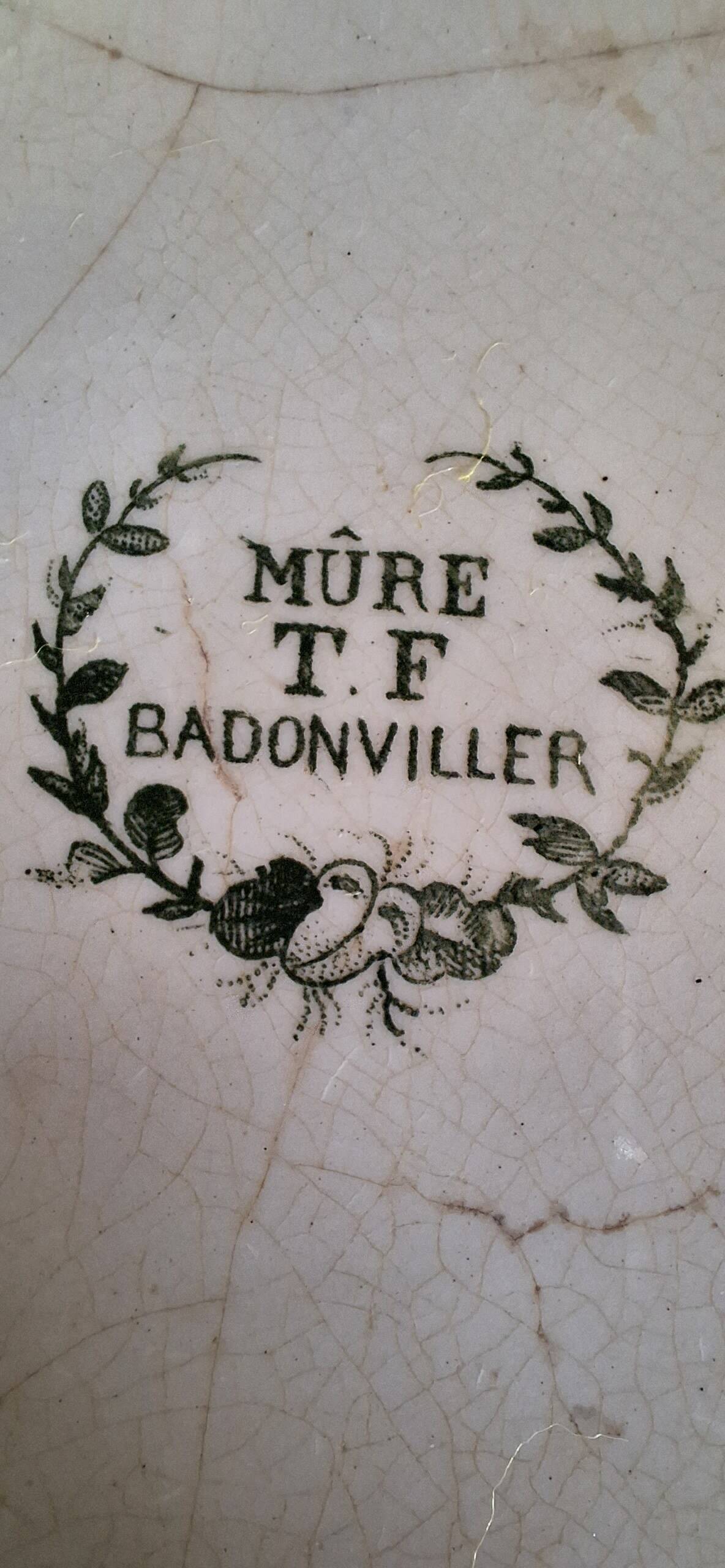 Badonviller earthenware plate