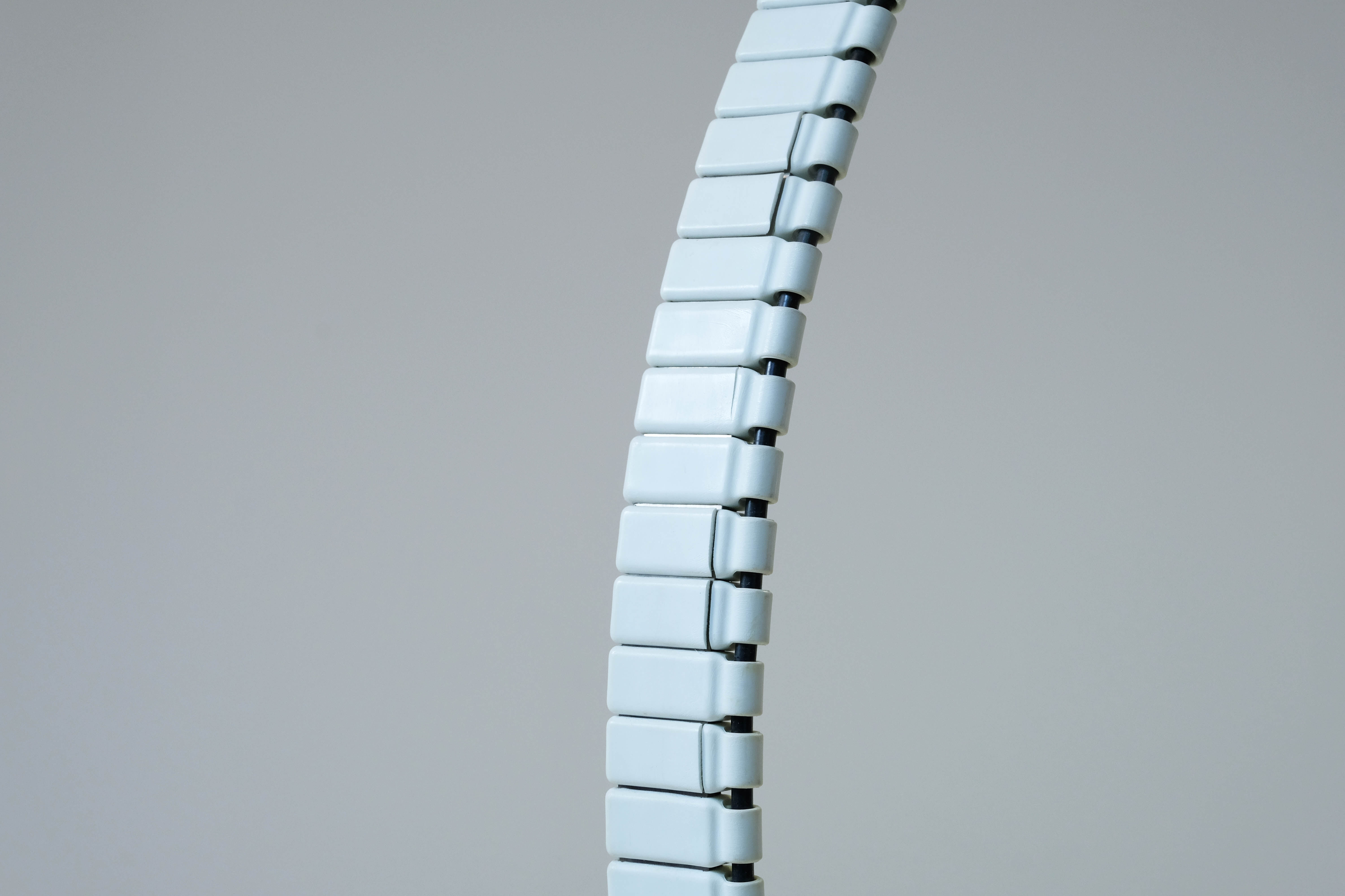 Vertebra Lamp by Martinelli 1970's