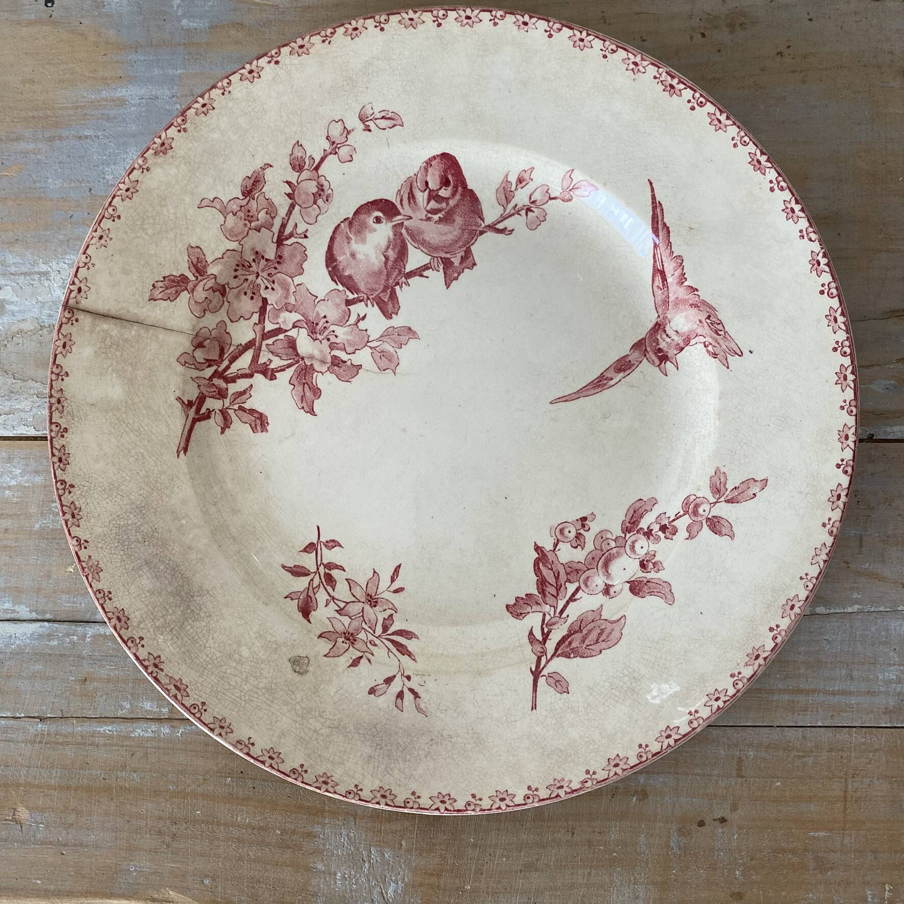 Round plate made of ironstone Sarreguemines Digoin model Favourite
