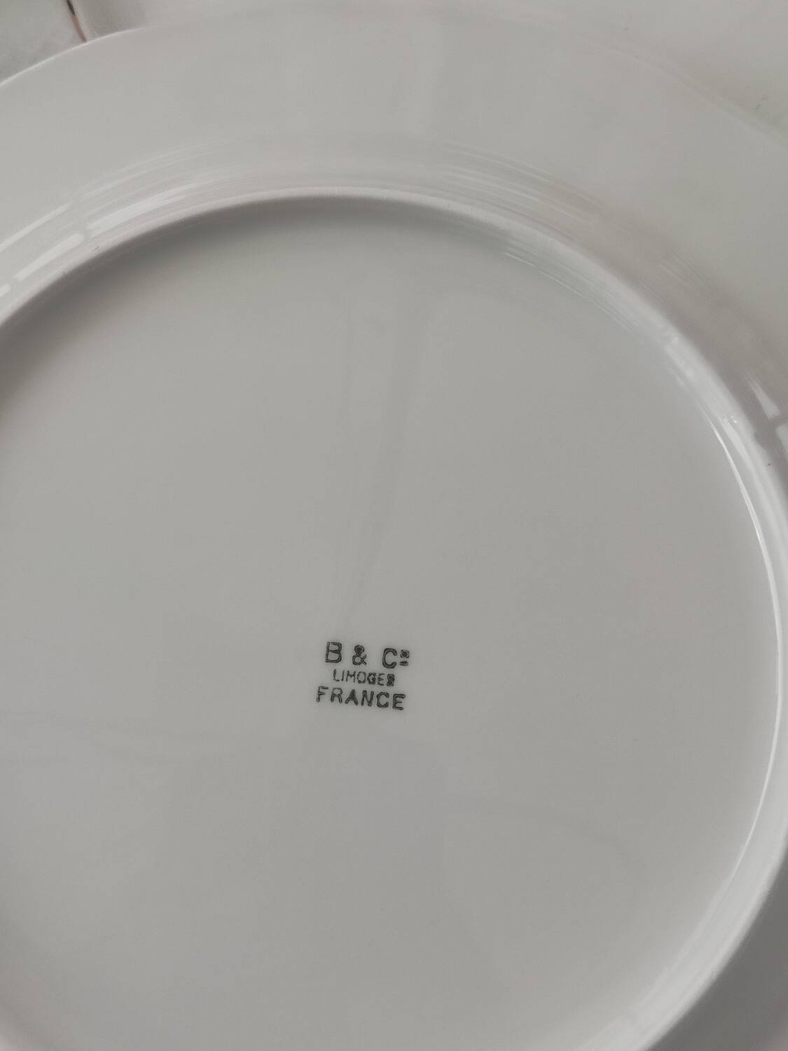 Ten Limoges porcelain plates B et Cie