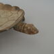 Brass turtle tray