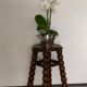 French turned wood stool 1950