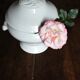 Antique soup tureen, white earthenware, with stopper decoration.