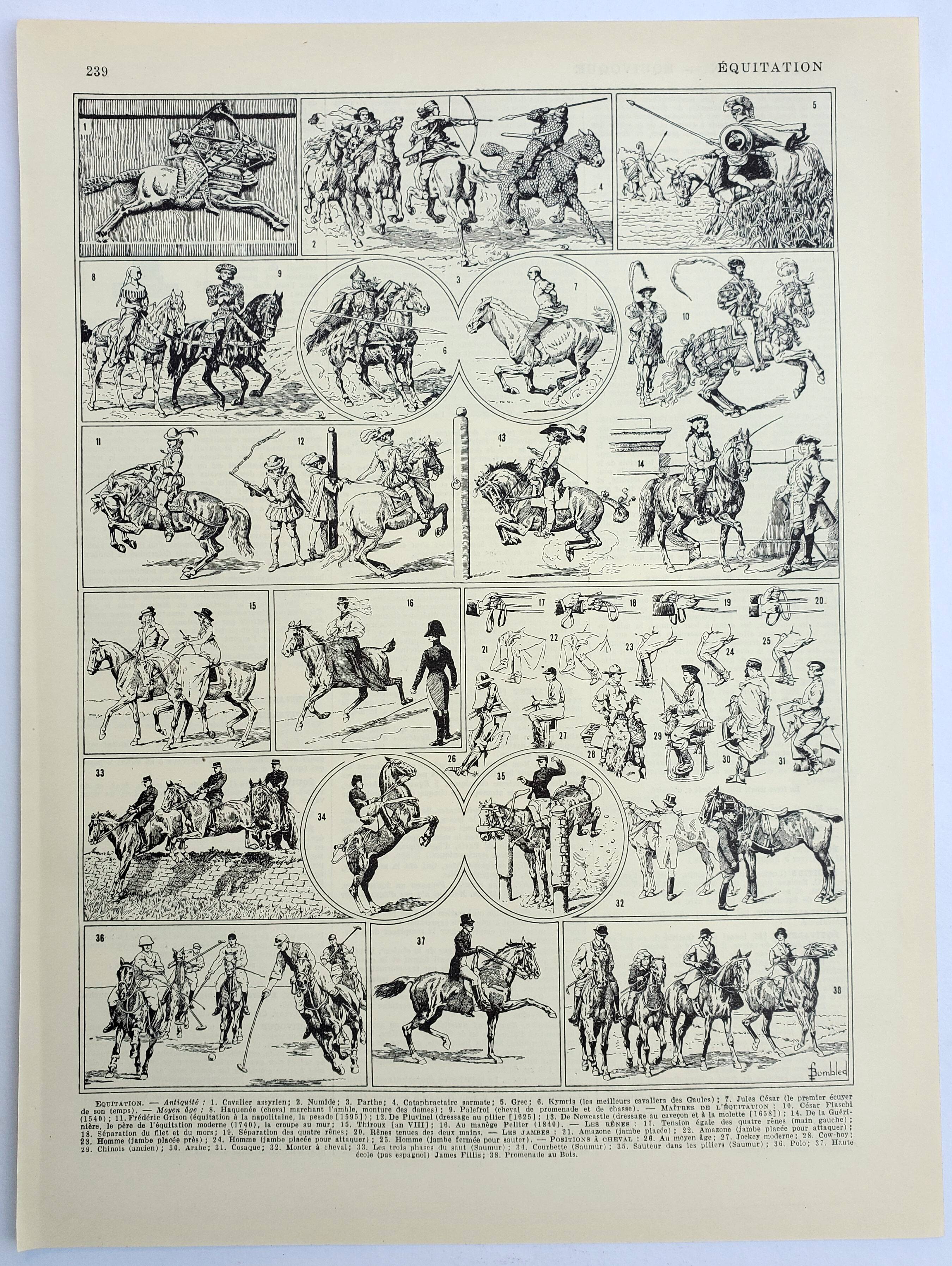 Old engraving 1928, Horse riding, horse, equestrian, equestrian • Lithograph, Original plate
