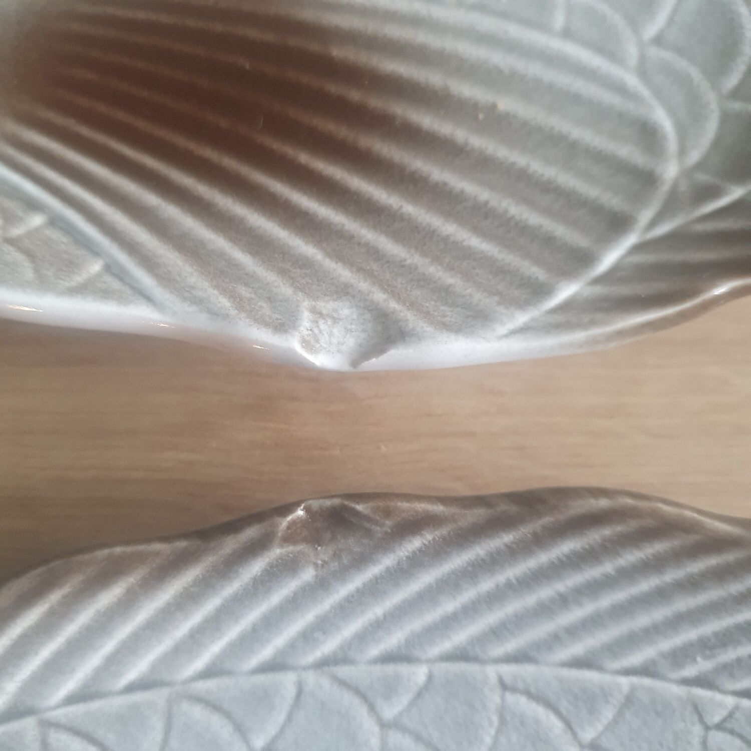 Fish plates from Salins