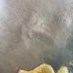 Oil on canvas bouquet - saint-hilaire-des-loges robert gougnard xxth