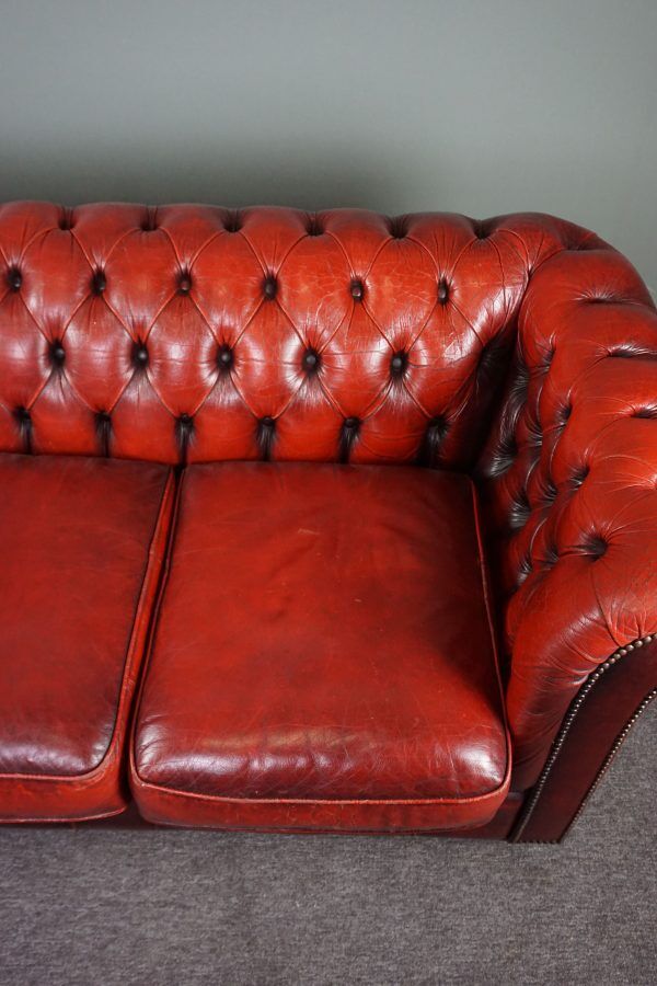 Chesterfield sofa 3 places in cowhide leather