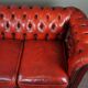 Chesterfield sofa 3 places in cowhide leather
