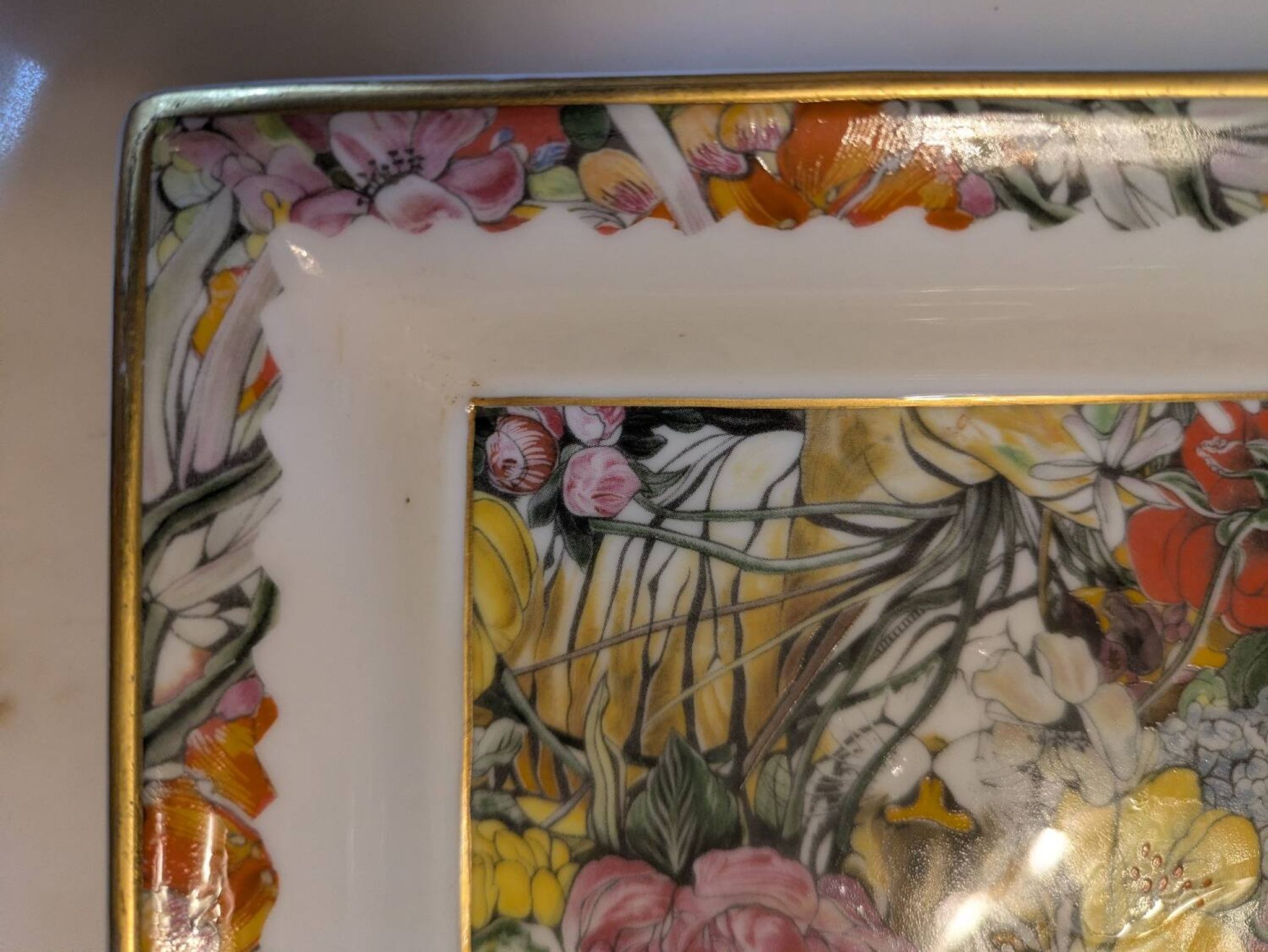 Vide Poche Raynaud par Fleur Cowles