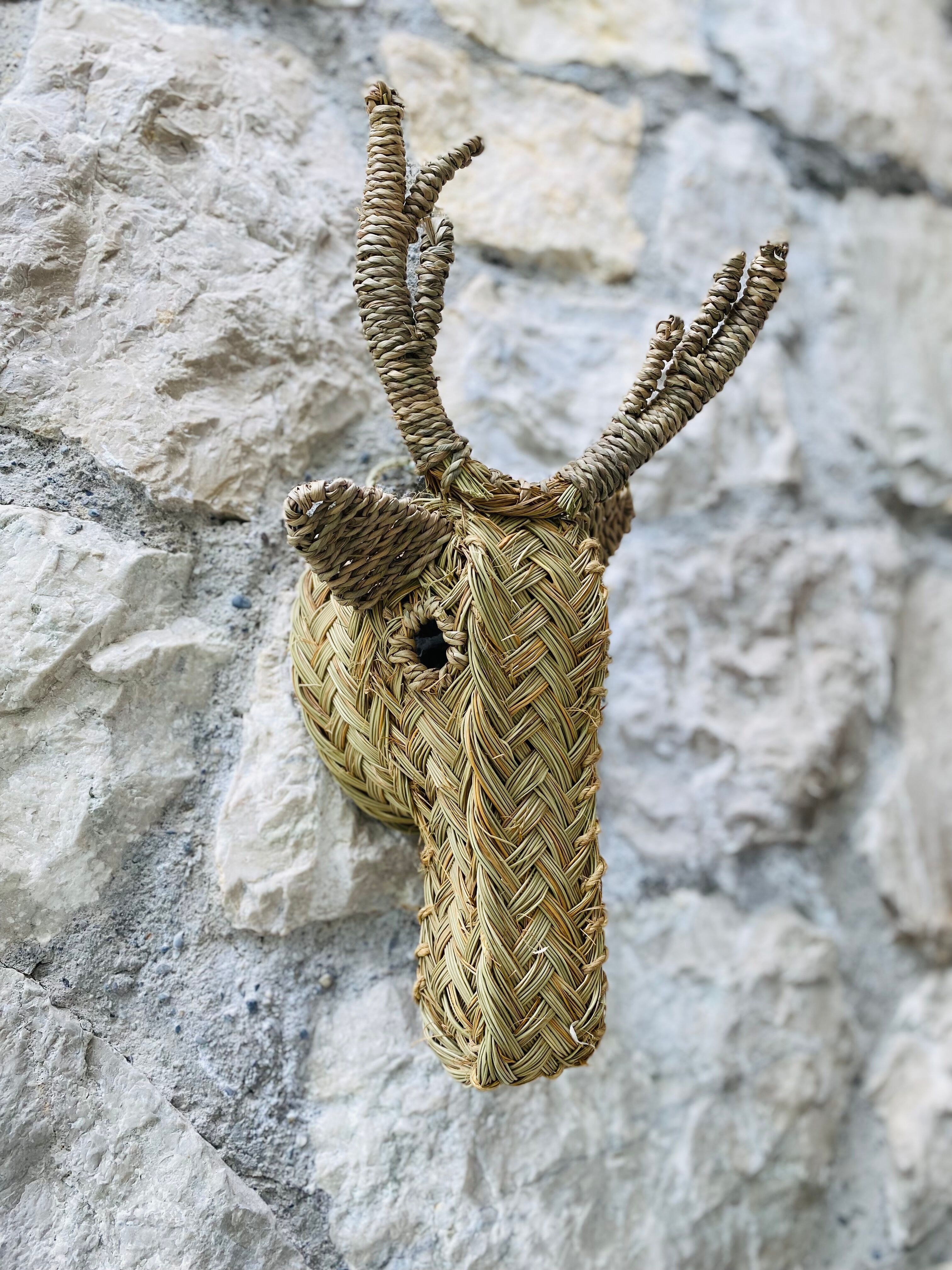 Trophy animal head in palm leaves - deer