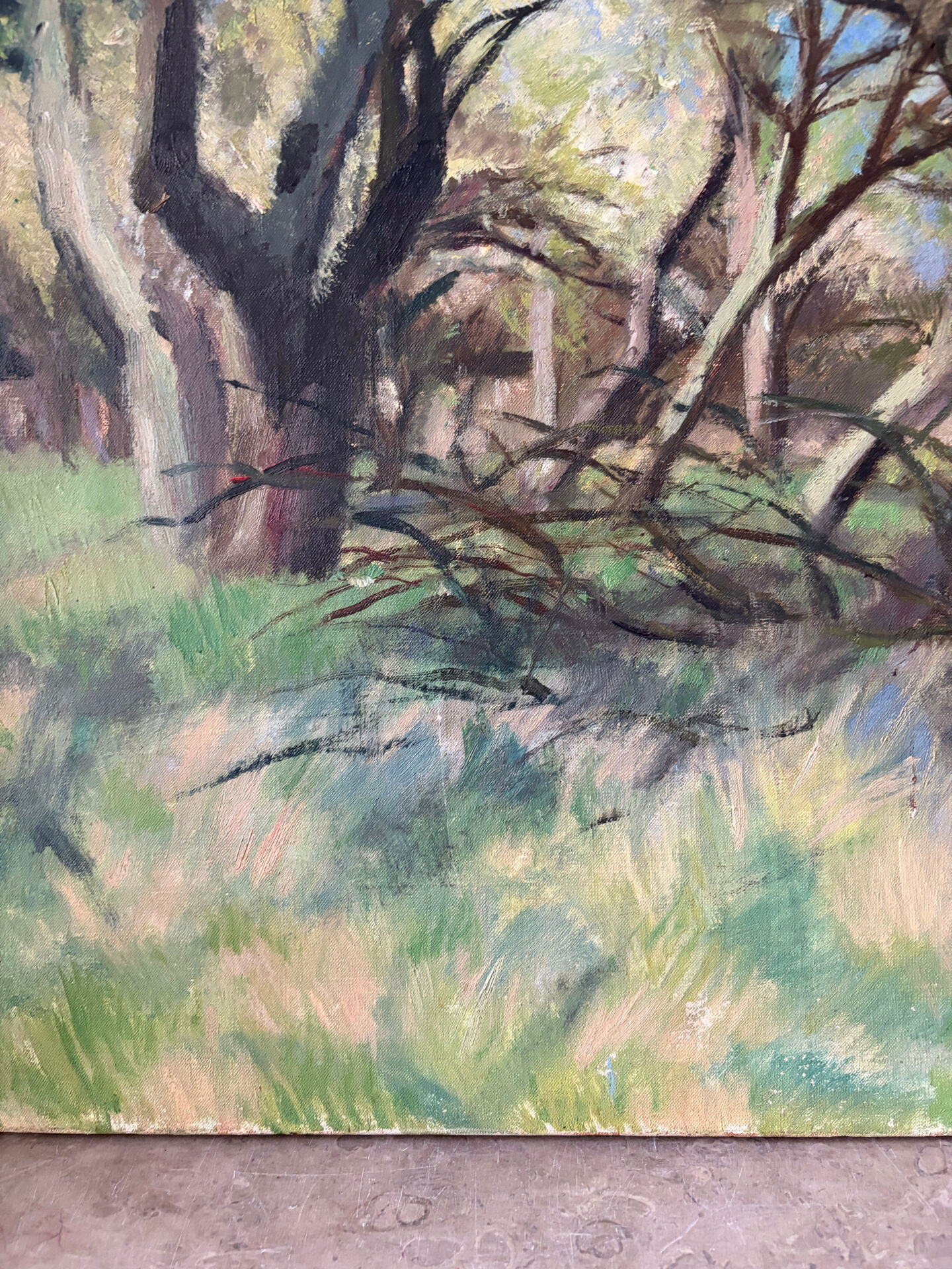 Paysage de forêt, huile sur toile signée Taquoy