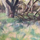 Paysage de forêt, huile sur toile signée Taquoy