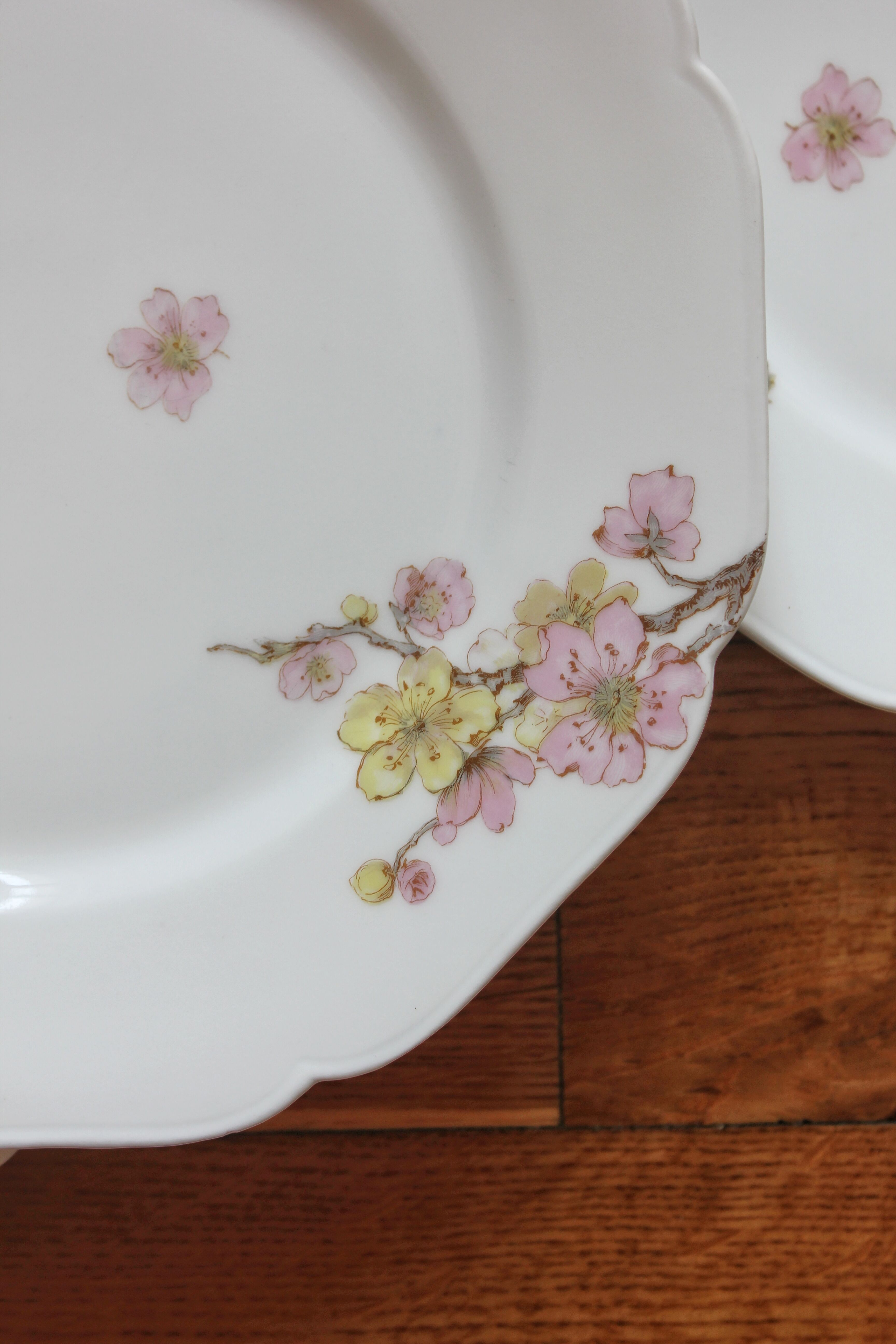 Six antique H&C porcelain dessert plates, Maison Ragot Lille, early 20th century