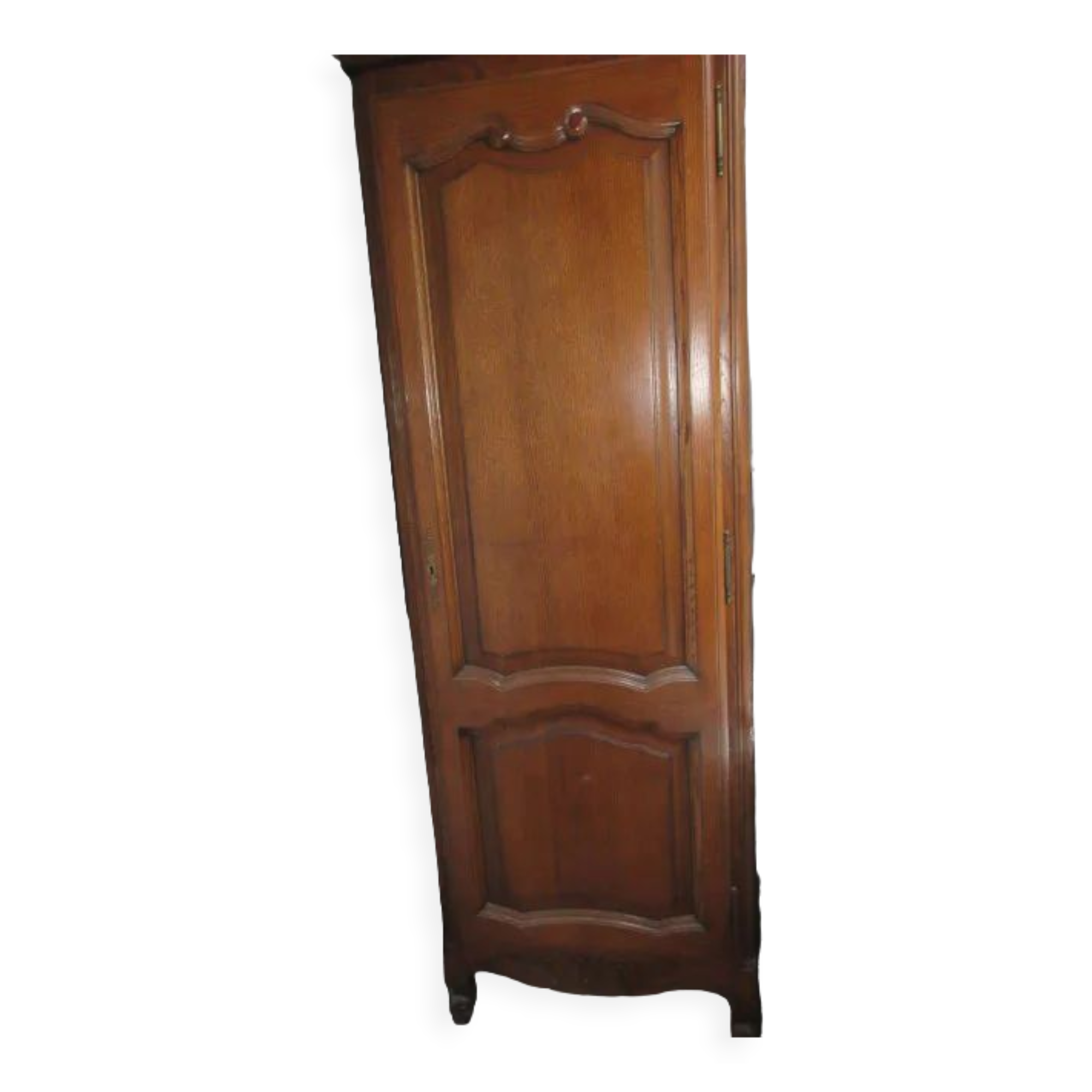 Solid oak hosiery