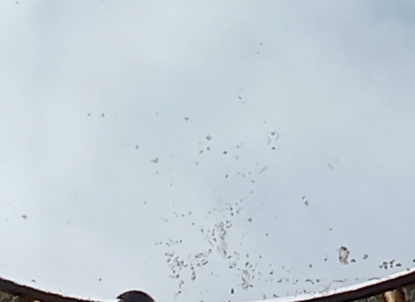 Miroir soleil métal doré