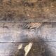 Rustic antique farmhouse table in solid oak with 1 drawer.