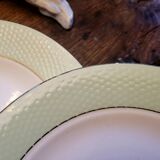 Amandinoise dinner plates