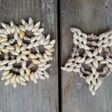 Pair of shell bottle bottoms
