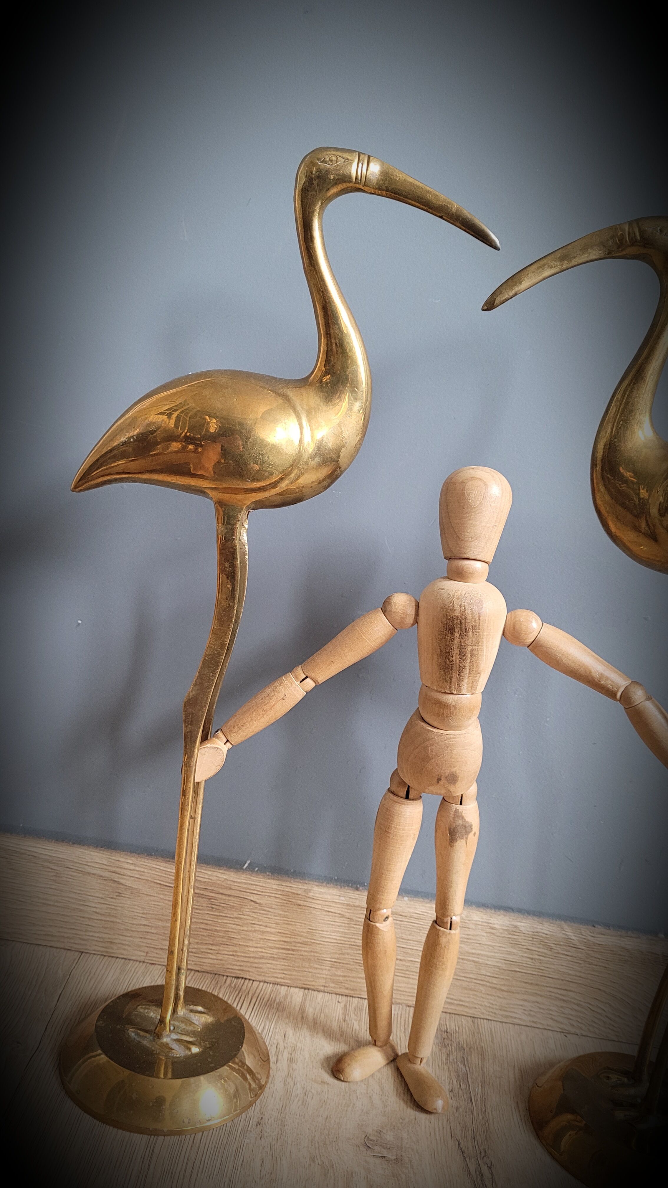 Duo great brass ibis