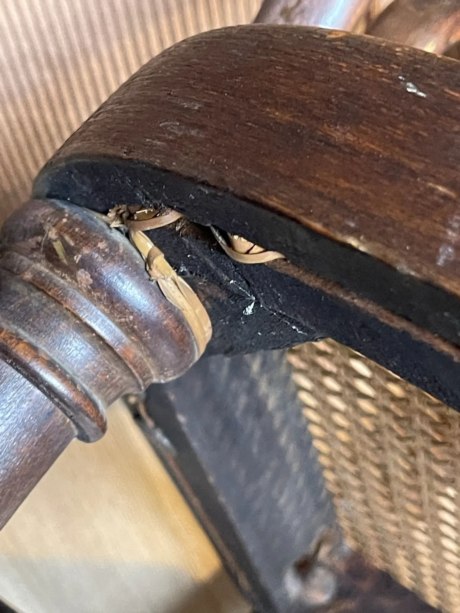 Thonet bench from the early 20th century