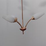 Suspension years 50-60