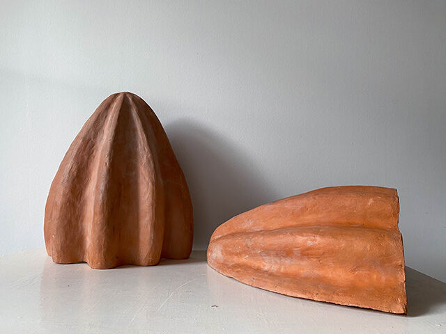 Pair of shell wall lamps