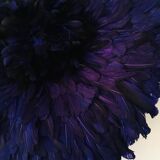 Juju hat navy blue 50 cm