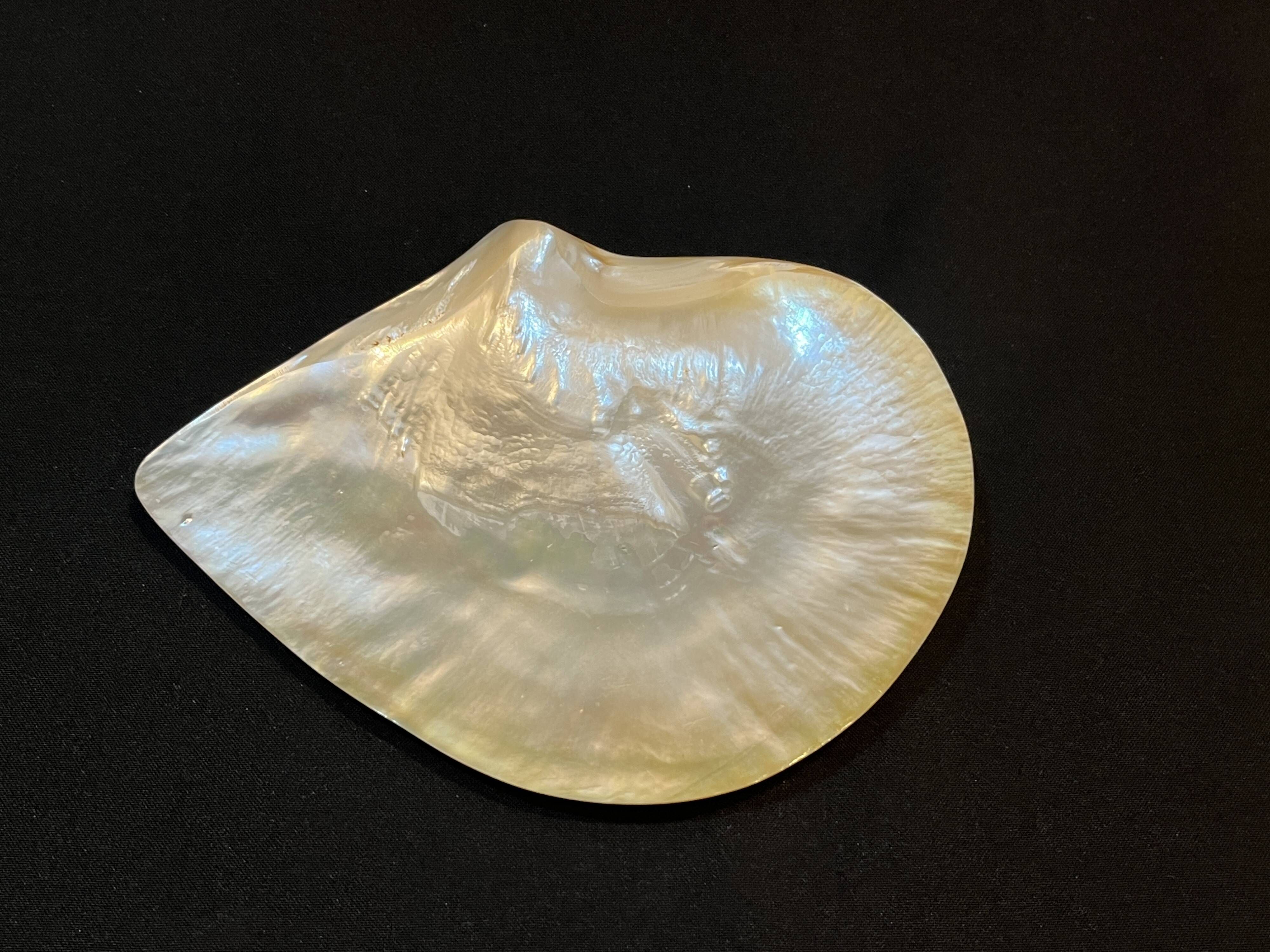 Large mother-of-pearl oyster natural pearl trinket dish from the 70s