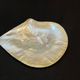 Large mother-of-pearl oyster natural pearl trinket dish from the 70s