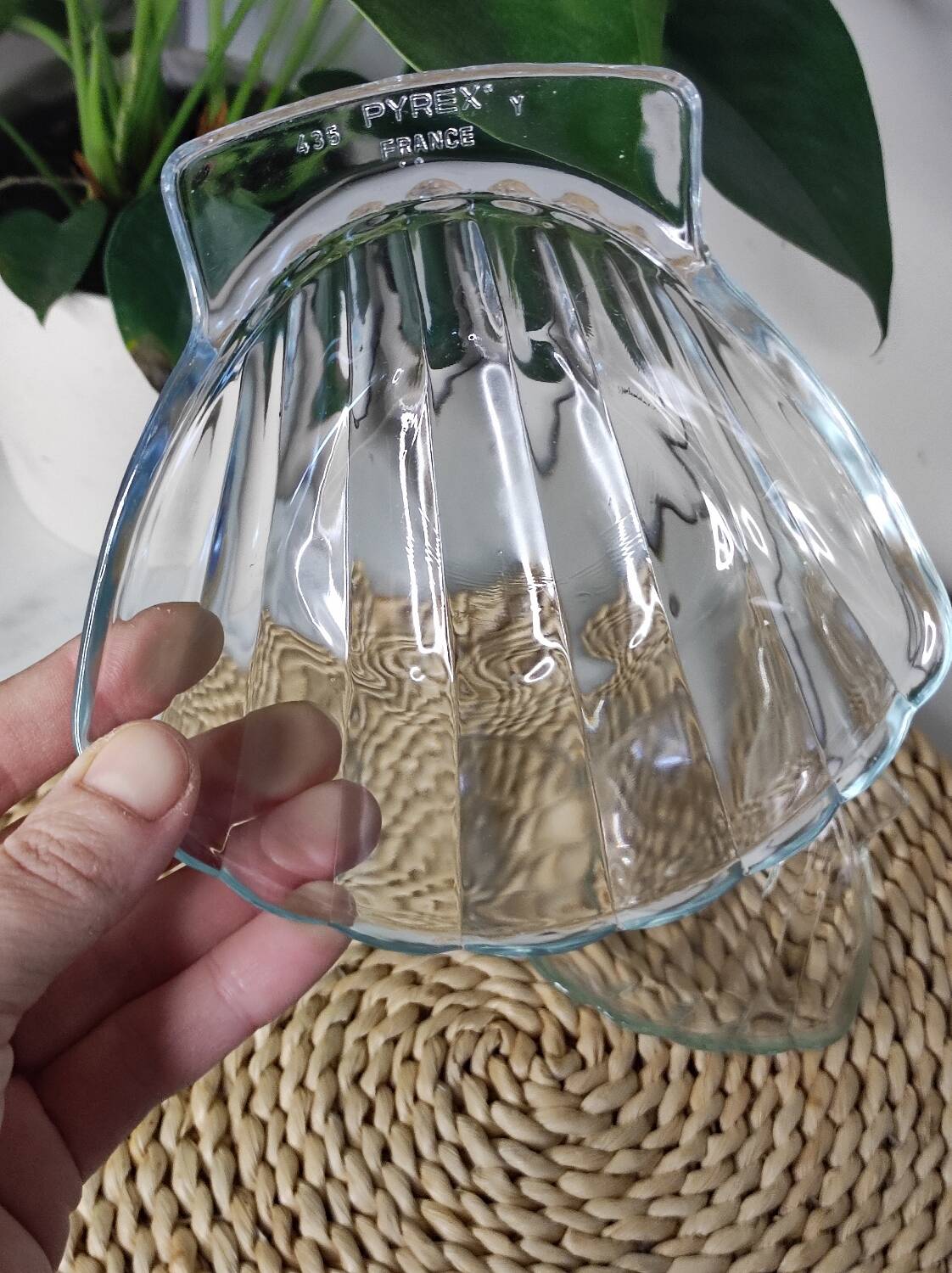 Shell-shaped glass bowls