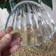 Shell-shaped glass bowls
