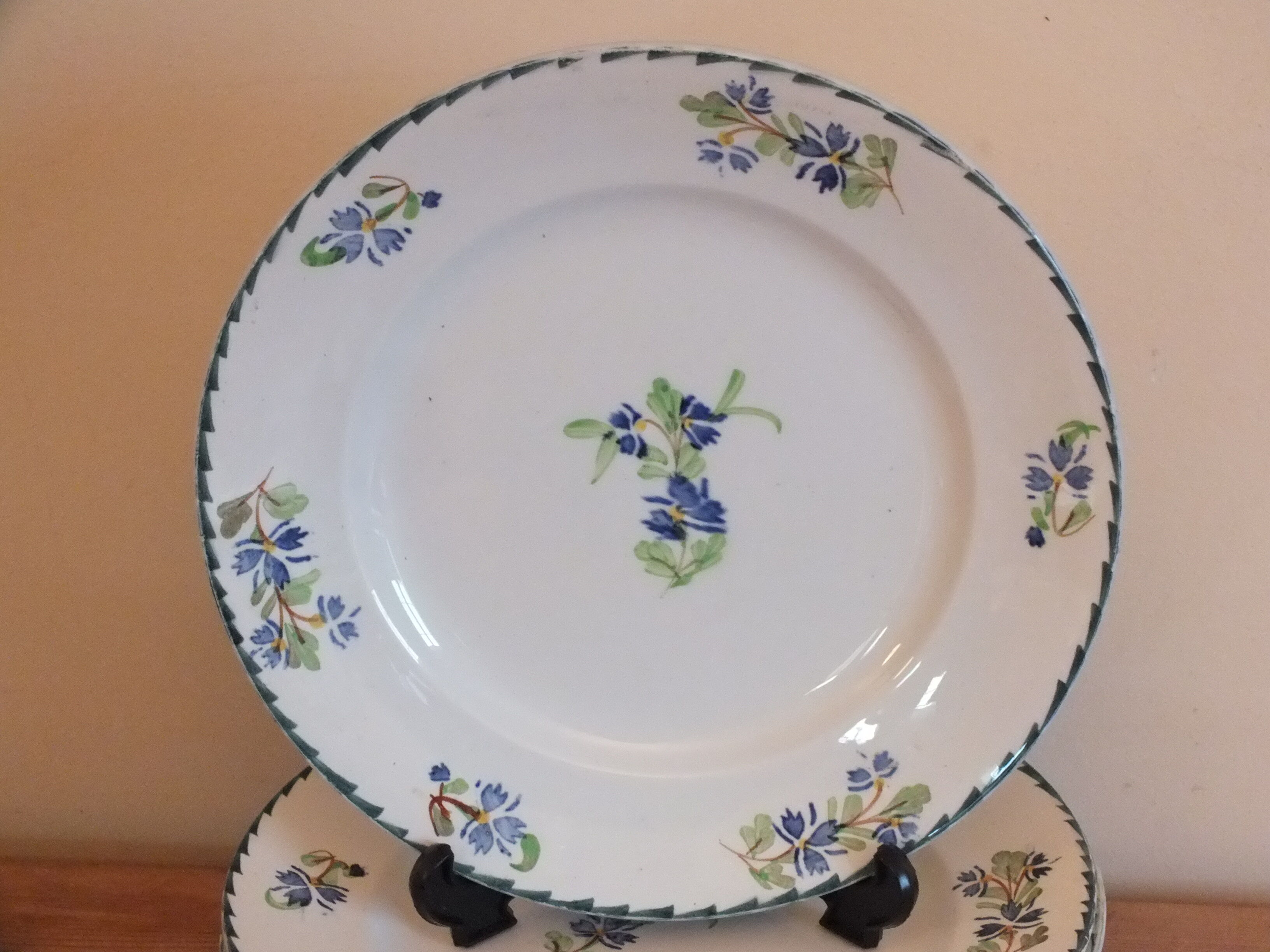10 flat plates in Iron earth blueberry décor