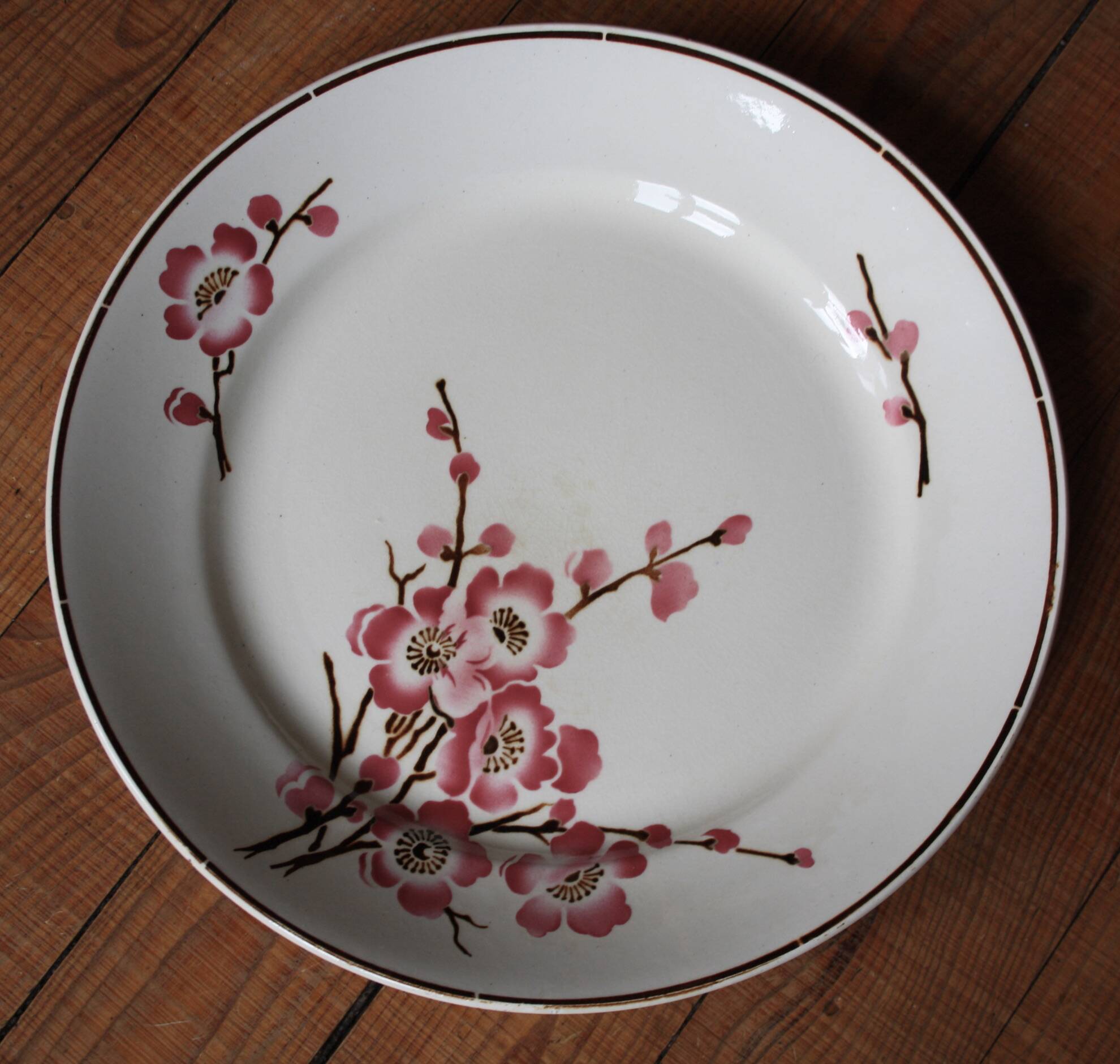set of 2 dishes/large plates St Amand Terre de Fer "cherry"