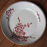 set of 2 dishes/large plates St Amand Terre de Fer "cherry"