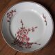 set of 2 dishes/large plates St Amand Terre de Fer "cherry"