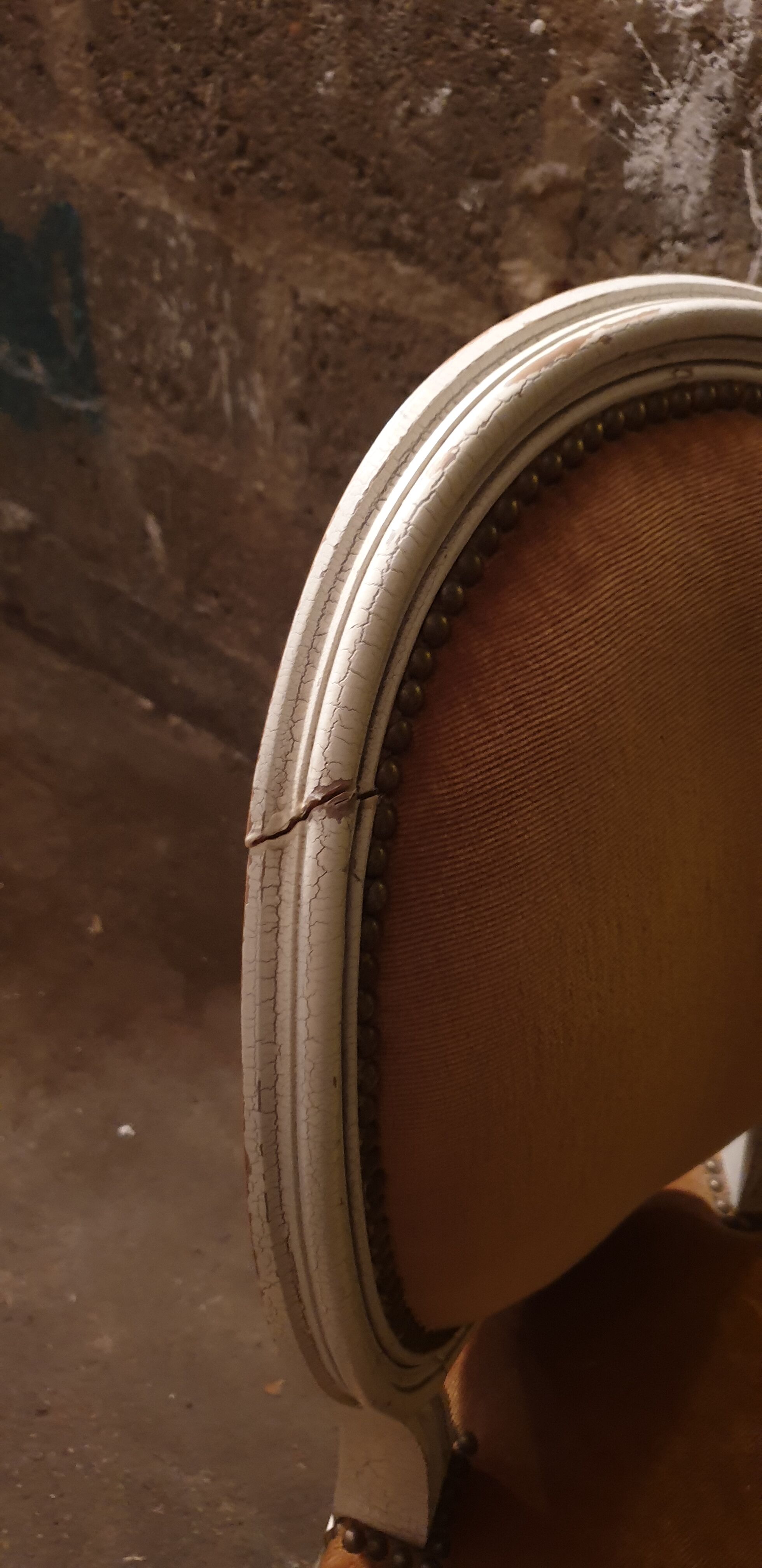 Chairs medallion Louis Louis XVI