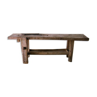 Established in Elm wood