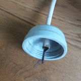 Opaline pendant light with claw and ceiling rose