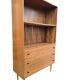 Vintage cabinet / display case / bookcase