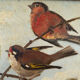 Vintage painting on panel of 3 tits on a branch.
