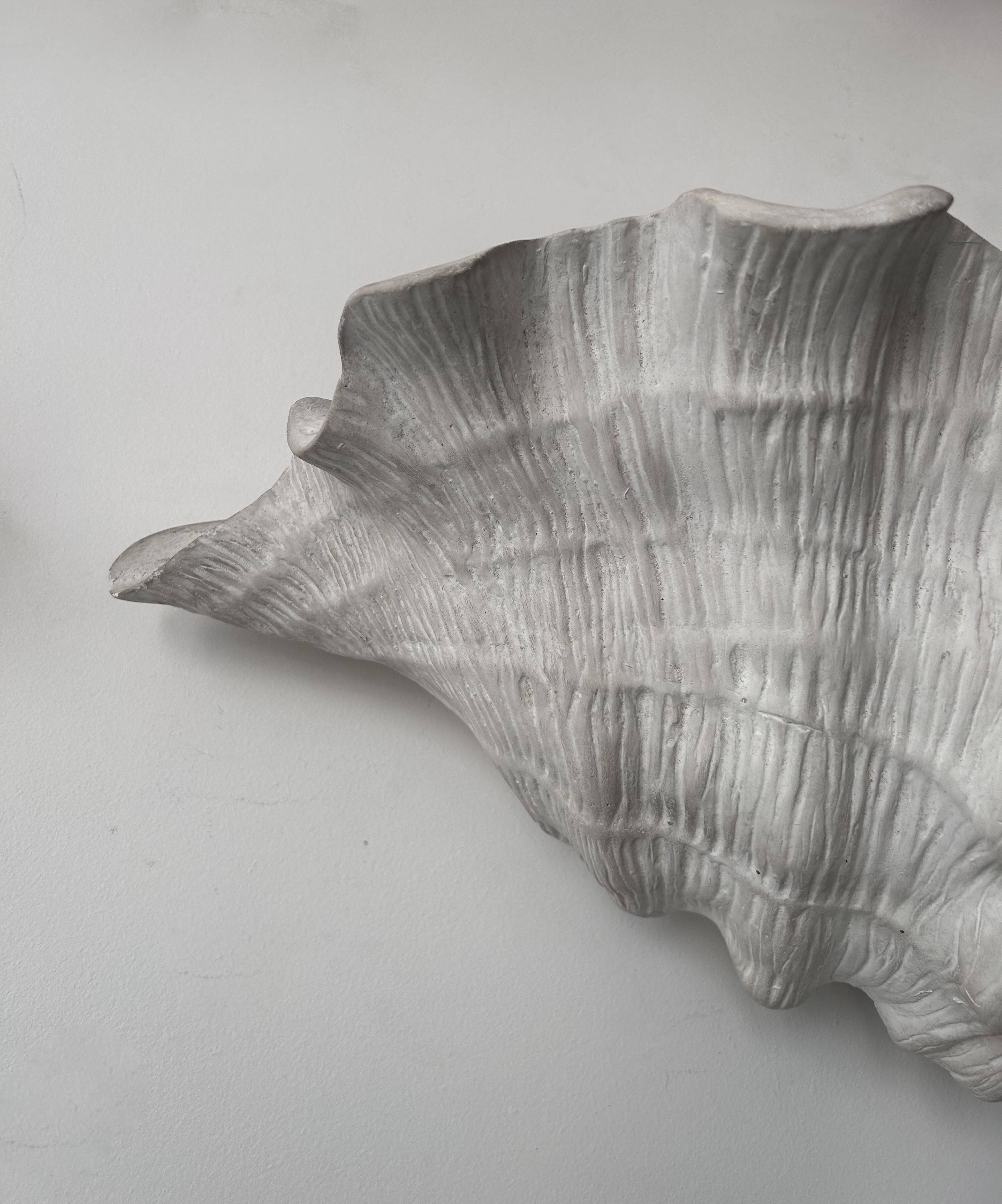 Pair of vintage shell wall lights, matte white plaster, France 1940