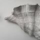 Pair of vintage shell wall lights, matte white plaster, France 1940