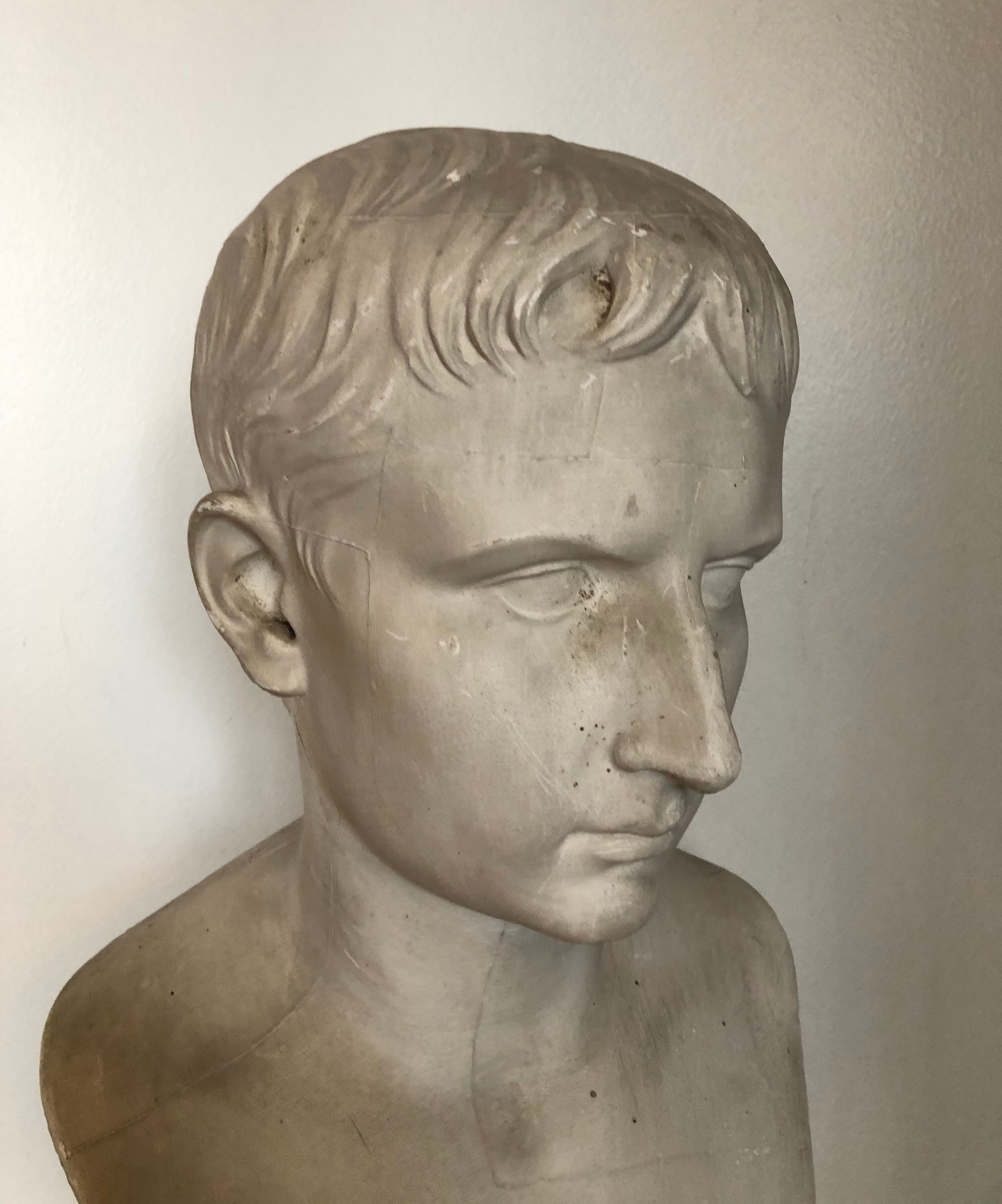 Bust of Bonaparte in plaster