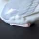 German Porcelain Seagull, 1930s Pocket Tray, Very Good Condition.