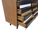 Commode by Jiri Jiroutek for Interier Praha, 1969