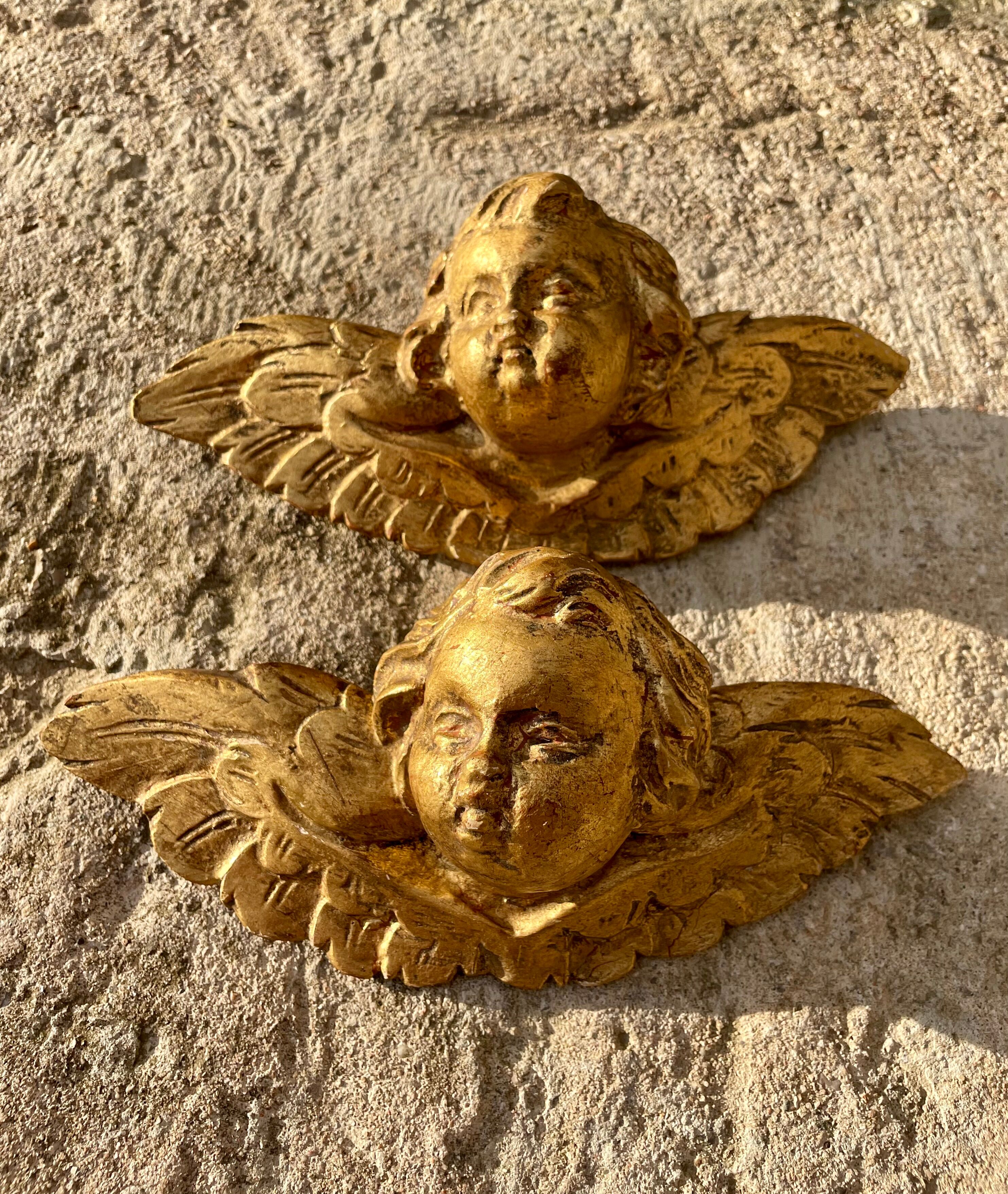 Pair of angels in gilded wood