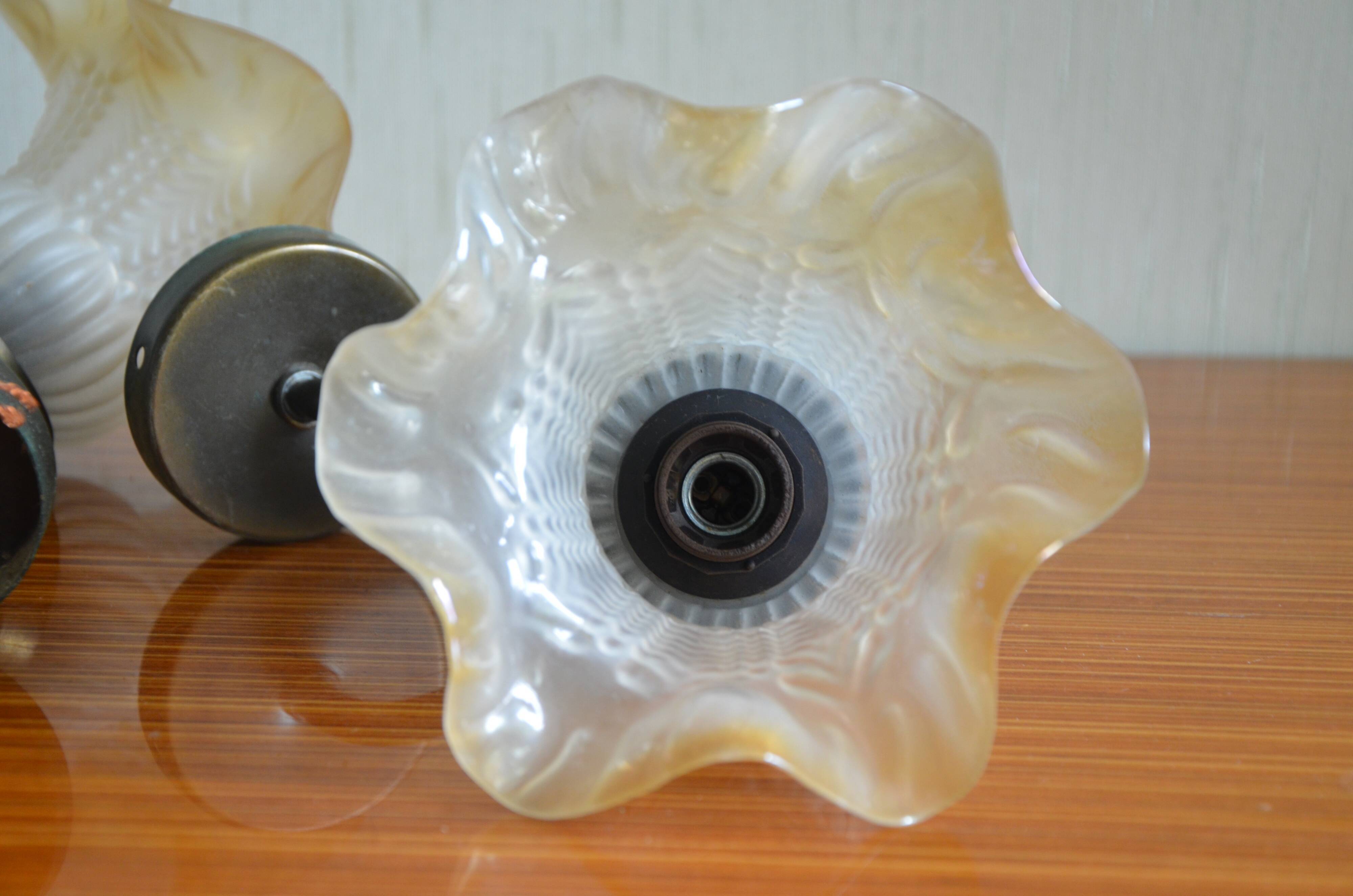 Pair of tulip appliques